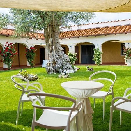 Villa Tenuta Amalthea à Sessa Aurunca Extérieur photo