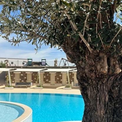 Villa Tenuta Amalthea à Sessa Aurunca Extérieur photo